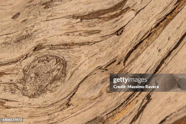 Wood Ridges Texture 993 Timber Ridge Stock Photos, High-Res Pictures, and Images - Getty Images