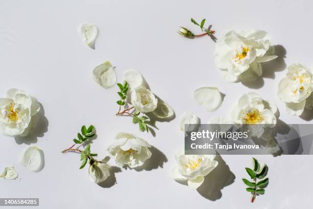 Floating White Roses 425 Roses Floating In Water Stock Photos, High-Res Pictures, and Images ...