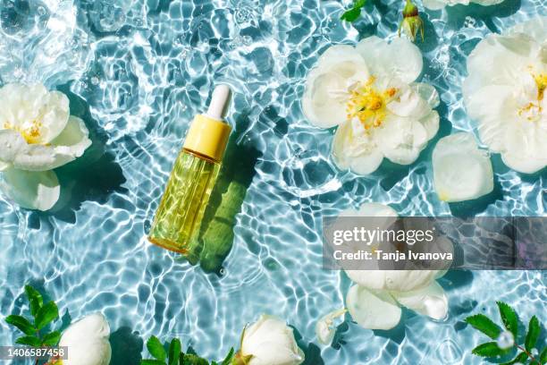 glass bottle of natural cosmetic serum with a pipette, aromatic facial oil with white rose flowers on a background of blue water with waves. beauty products for body and face care. - white rose flower spa photos et images de collection