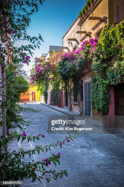 homes on del pueblito street, san miguel, mexico - san miguel de allende fotografías e imágenes de stock