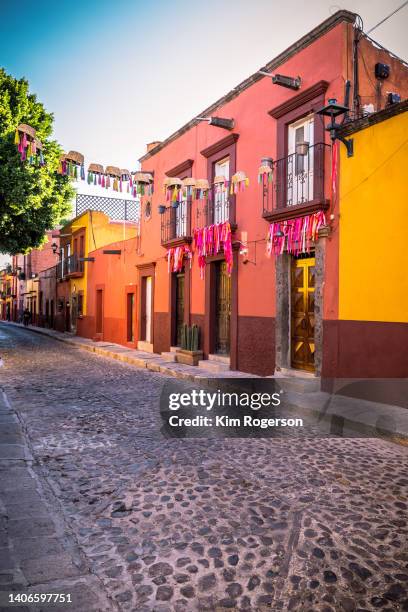 colorful homes of relox street, san miguel, mexico - san miguel de allende 個照片及圖片檔