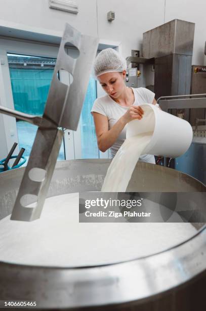 mujer llenando la olla con leche - producción-de-queso fotografías e imágenes de stock