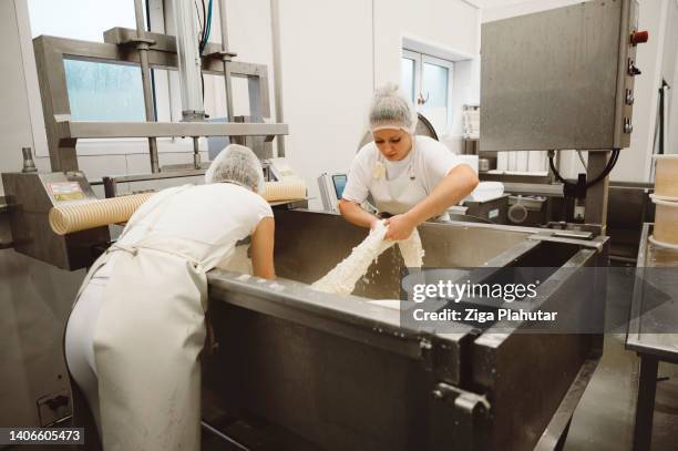 the process of cheese making - milk production line stock pictures, royalty-free photos & images