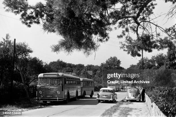 Visitors to Lueneburg Heath, 1957.