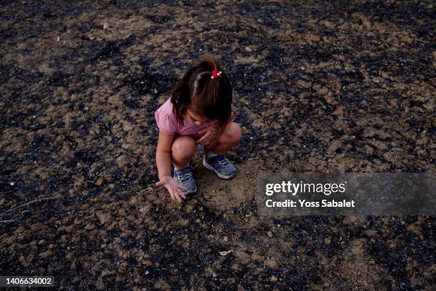 a little girl is looking at the forest after the fire. - climate change kids stock pictures, royalty-free photos & images