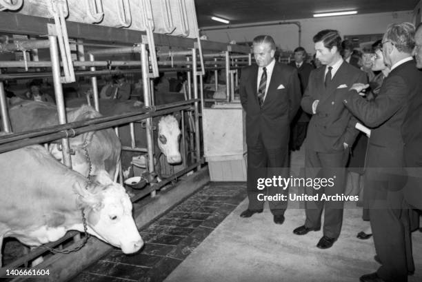 Prinz Charles zu Besuch bei der Rinderbesamungsanlage in Grub, 1987.