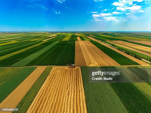 harvesting combine - aerial view farm stock pictures, royalty-free photos & images