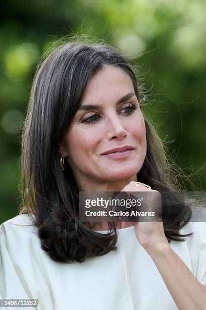 Queen Letizia of Spain attends a meeting with the winners and members of the Board of 'Princesa de Girona' Foundation at the Albeniz Palace on July...