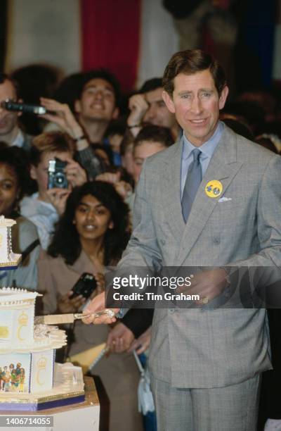 Prince Charles cuts his tiered birthday cake at his 40th Birthday party during the launch of his Princes Youth Business Trust in Birmingham, England,...