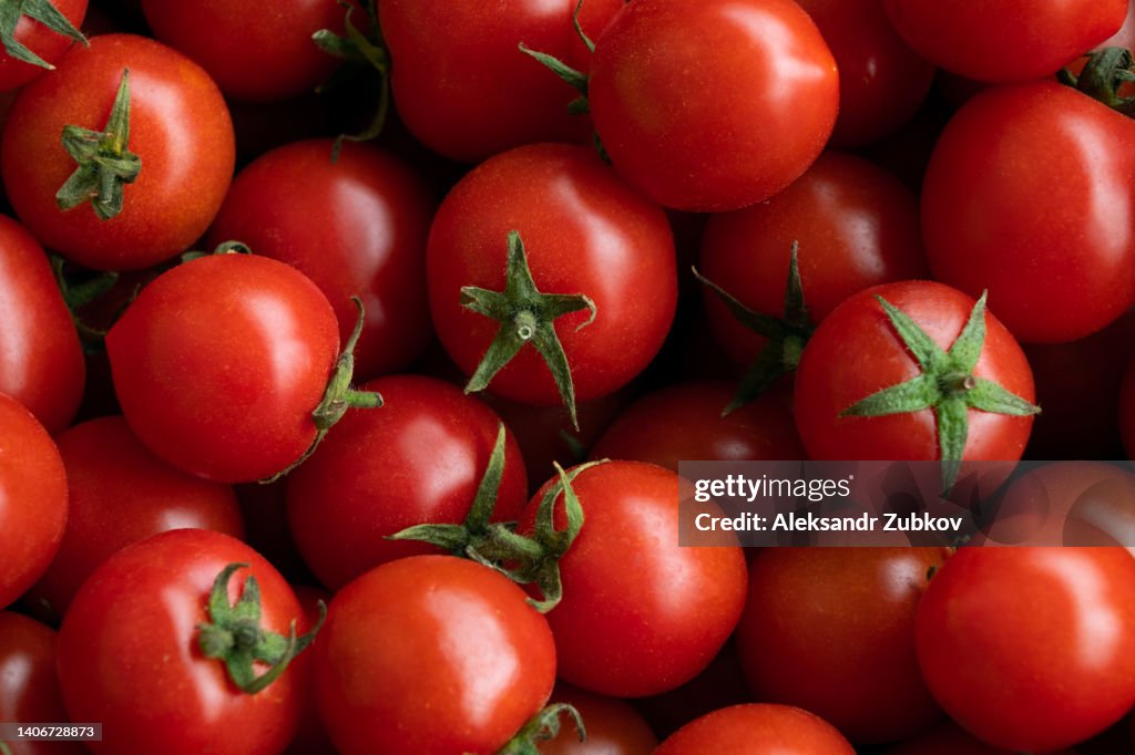 Ripe red cherry tomatoes at a retail market or hypermarket. Vegetarian, vegan and raw food and diet. Organic homemade farm products. Harvesting in the garden, vegetable garden, in the country. Food background. From the farm to the table. Vegetable food.