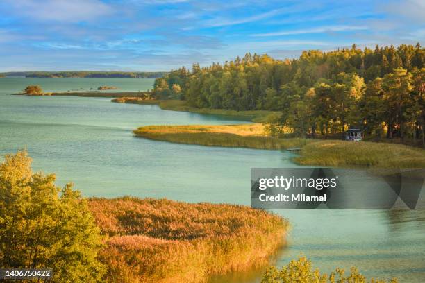 aerial view of a red cabin, forest and beach surrounded by beautiful sea views, during golden hour. archipelago scenery. ruissalo, turku, finland. northern europe. - turku bildbanksfoton och bilder