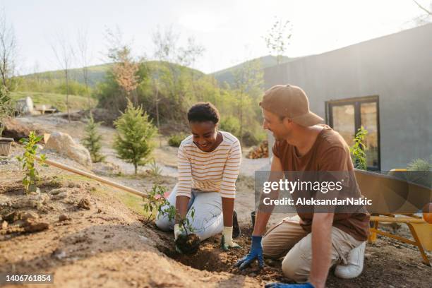 piantare nuove piante nel nostro cortile - landscape gardener foto e immagini stock