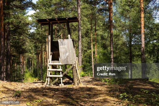 Forest Ranger Lookout Posts 80 Forest Ranger Tower Stock Photos, High-Res Pictures, and Images ...