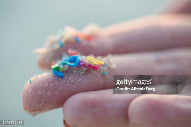 researcher holding small pieces of micro plastic pollution washed up on a beach - animal testing fotografías e imágenes de stock