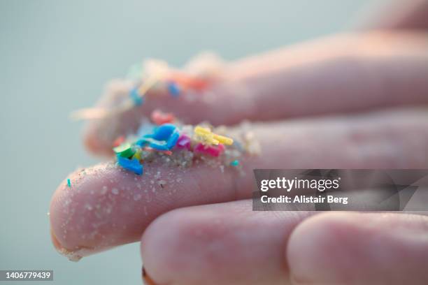 researcher holding small pieces of micro plastic pollution washed up on a beach - microplástico fotografías e imágenes de stock