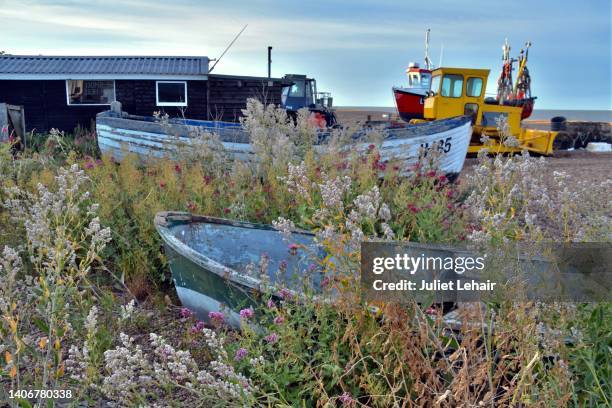 valerian and fishing boats. - aldeburgh stock pictures, royalty-free photos & images