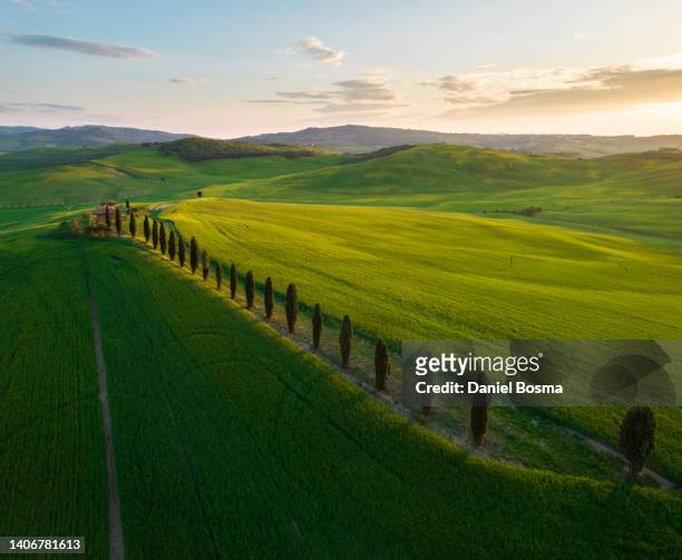 aerial view of a beautifully lit, typically tuscan landscape - san quirico d'orcia stock pictures, royalty-free photos & images