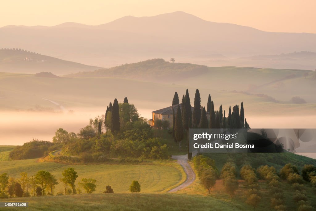 Classic farmhouse, green foggy hills, olive gardens and small vineyard under rays of morning sun