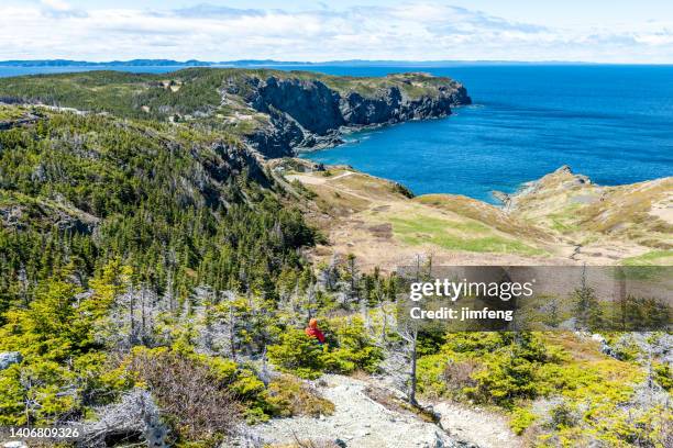 costa atlântica rochosa de crow head em long point lighthouse, twillingate, newfoundland, canadá - rocky coastline - fotografias e filmes do acervo