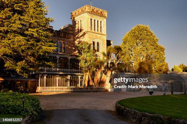 larnach castle on the otago peninsula - larnach castle stock pictures, royalty-free photos & images