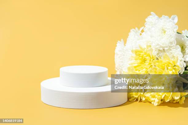 white pedestal for beauty product advertisement. chrysanthemum flowers arrangement on colored background. femininity decor composition concept. studio shot of showing stage. performing exhibition. front view, horizontal, copy space - flower show imagens e fotografias de stock