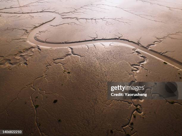 aerial view of the natural shapes created in tidal mudflats at low tide - lamaçal imagens e fotografias de stock