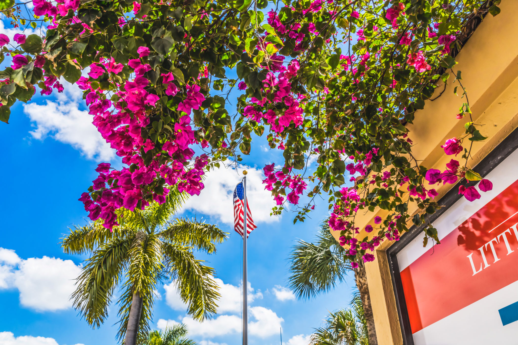 little havana miami