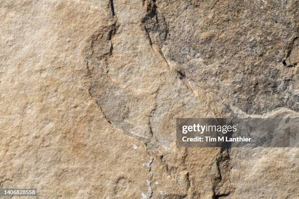 abstract close up of flagstone rock - slate rock stock-fotos und bilder