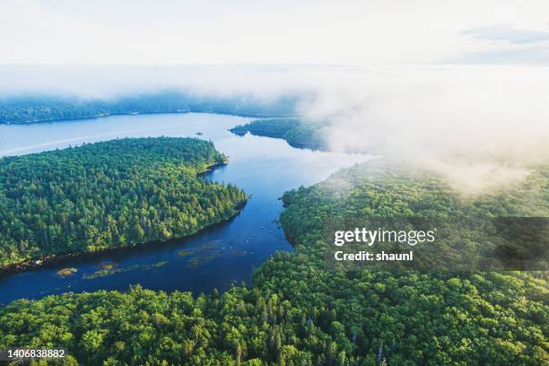 eingehende nebelbank - neuschottland stock-fotos und bilder