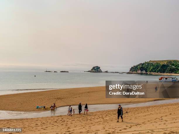 golden bay and pōhara beach view, abel tasman national park, tākaka, new zealand - abel tasman national park stock pictures, royalty-free photos & images