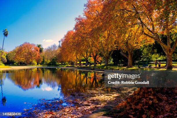 Perth Autumn 60,449 Perth Western Australia Stock Photos, High-Res Pictures, and ...