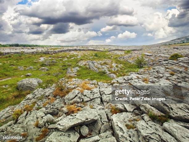 stone desert - the burren - in county clare, ireland - formación karst fotografías e imágenes de stock