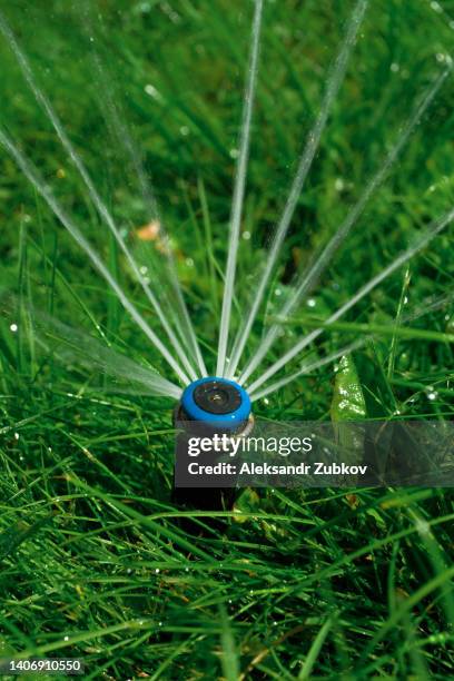the automatic lawn sprinkler waters the green grass. the garden irrigation system waters the lawn, vegetables and fruits. maintenance of the sprinkler system. watering in the suburban area, garden. - sprinkler system stock pictures, royalty-free photos & images