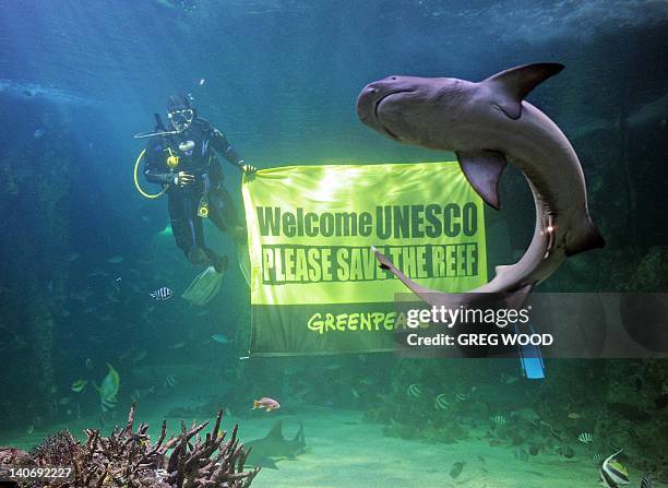 Helen Reef Photos And Premium High Res Pictures Getty Images helen-reef-photos-and-premium-high-res-pictures-getty-images