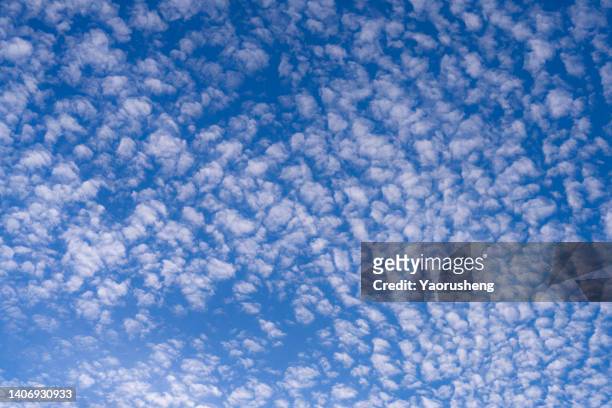 altocumulus cloud in blue sky - altocúmulo fotografías e imágenes de stock