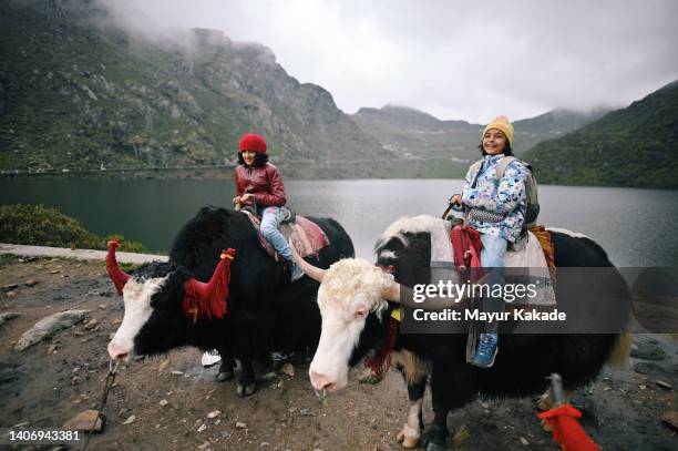 two girls enjoying the yak ride at tsongmo lake, sikkim - indian ethnicity travel stock pictures, royalty-free photos & images