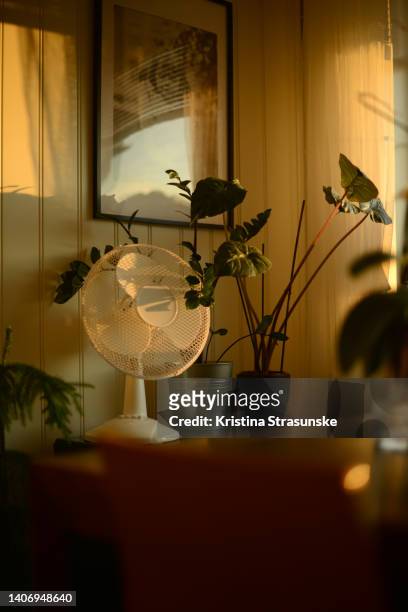 green plants on black cabinet by a framed picture - electric fan ストックフォトと画像
