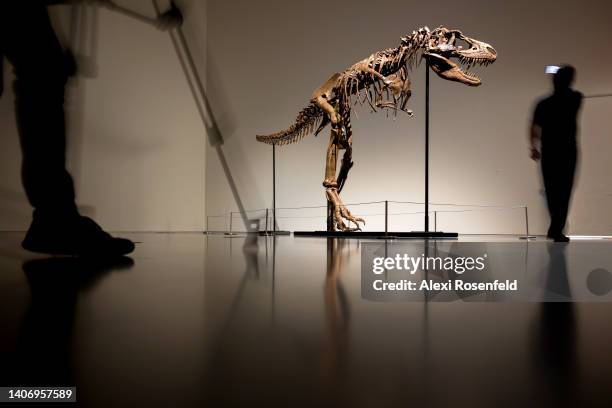 People walk around a Gorgosaurus Skeleton on display during a press preview at Sotheby’s on July 05, 2022 in New York City. The skeleton, which is...