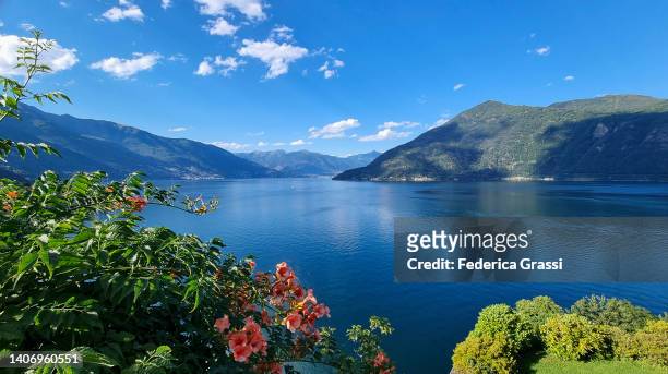 view of lake maggiore from cannobio - cannobio foto e immagini stock