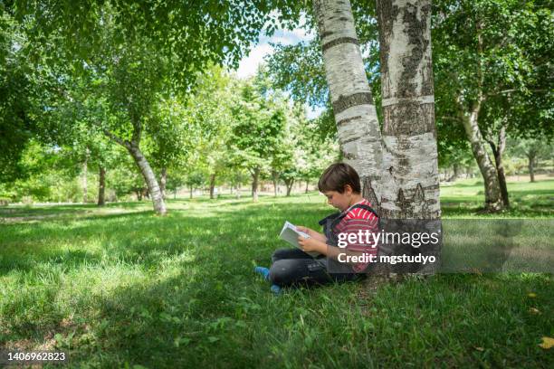 little boy reading a book under birch tree - berk stockfoto's en -beelden