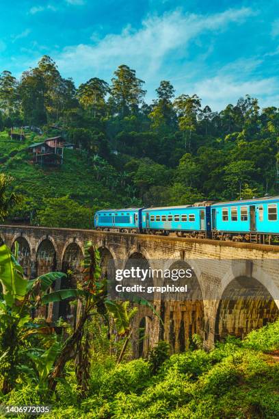 train passing over nine arch bridge - ella sri lanka stockfoto's en -beelden