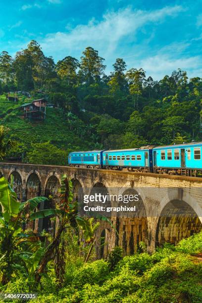 train passing over nine arch bridge - sri lanka train stock pictures, royalty-free photos & images