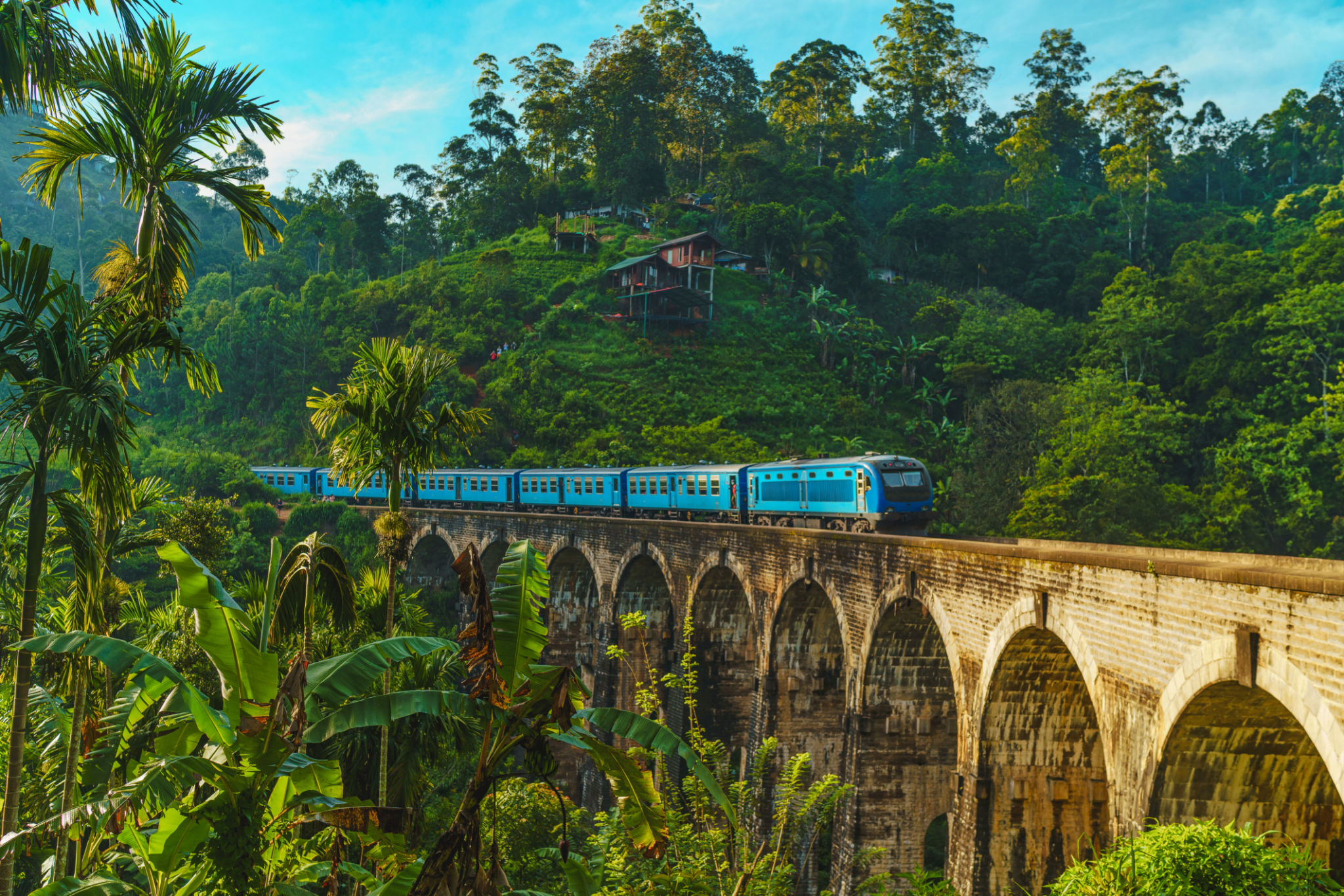 sri lanka landscape