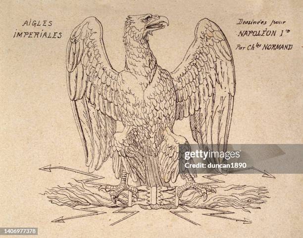 french imperial eagle with spread wings, vintage art - imperialism stock illustrations