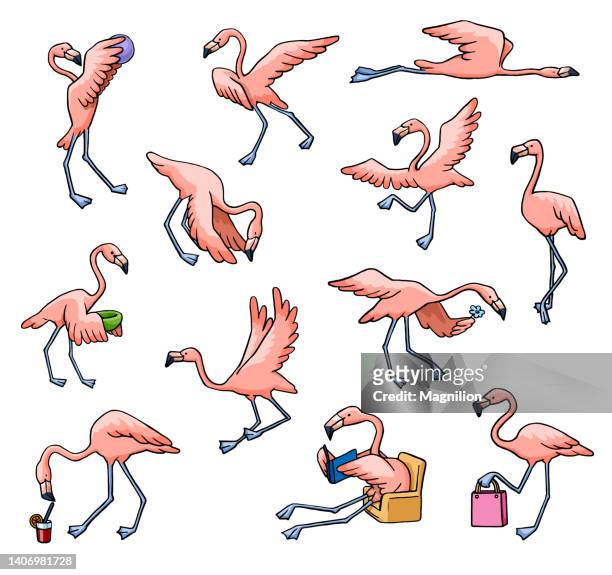 illustrations, cliparts, dessins animés et icônes de ensemble flamingo - sac de plage