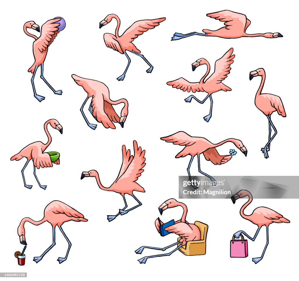 Flamingo Set