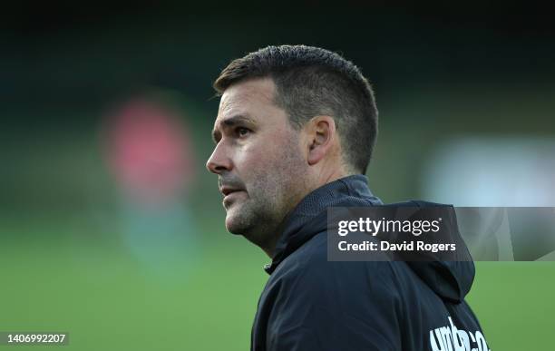 David Healy, the Linfield manager looks on during the UEFA Champions League First Qualifying Round First Leg match between The New Saints and...