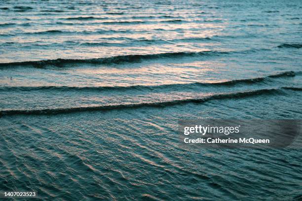 high tide approaching at sunset - cape cod bildbanksfoton och bilder