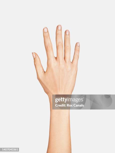 an open woman's hand - showing skin stock pictures, royalty-free photos & images