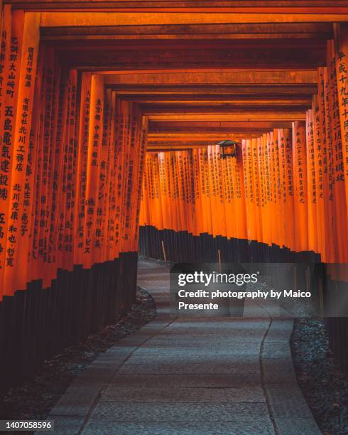 fushimi inari shrine - torii tor stock-fotos und bilder